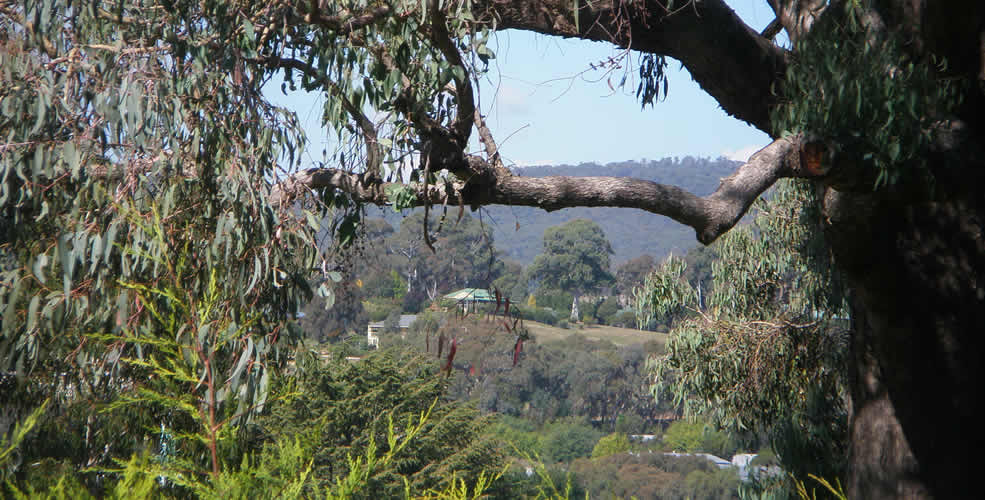 Beechworth Art Retreat - Town View